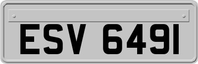 ESV6491