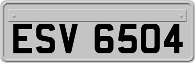 ESV6504