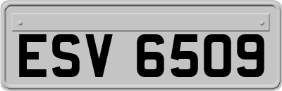 ESV6509