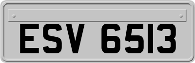 ESV6513