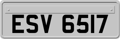 ESV6517