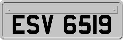 ESV6519