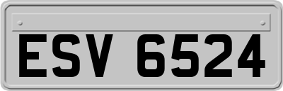 ESV6524