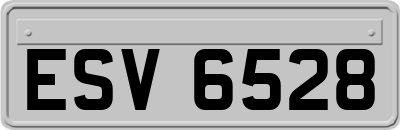 ESV6528