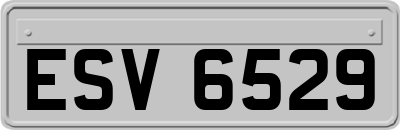 ESV6529