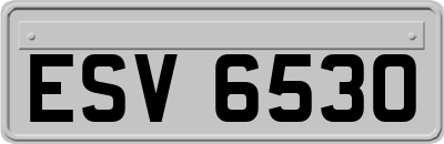 ESV6530
