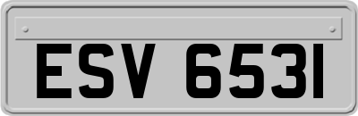 ESV6531