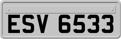 ESV6533