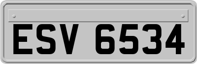 ESV6534