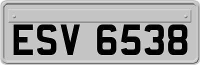 ESV6538