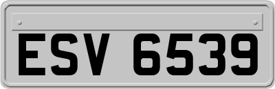 ESV6539