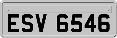 ESV6546