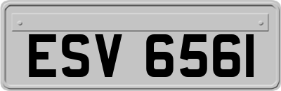 ESV6561