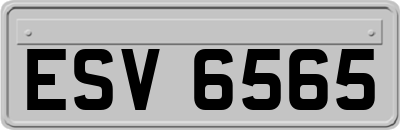 ESV6565