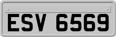 ESV6569