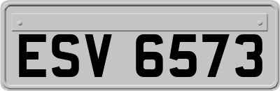 ESV6573