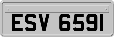 ESV6591