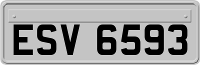 ESV6593