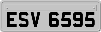 ESV6595