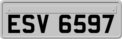 ESV6597