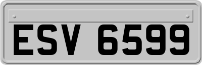 ESV6599