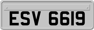 ESV6619