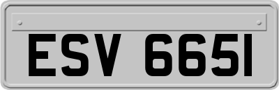 ESV6651