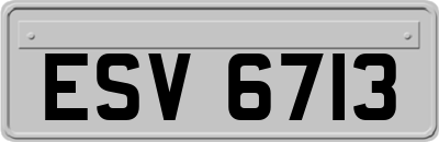 ESV6713