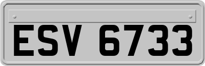 ESV6733