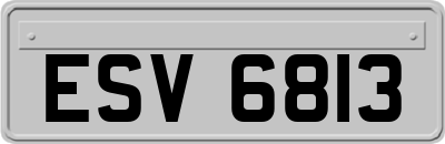 ESV6813