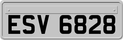 ESV6828