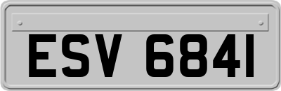 ESV6841