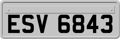 ESV6843
