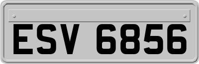 ESV6856