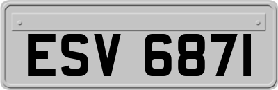 ESV6871