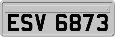 ESV6873