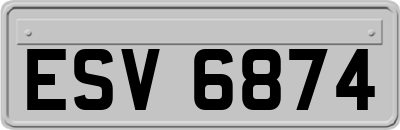 ESV6874
