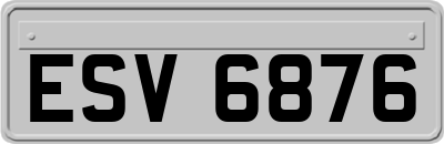 ESV6876