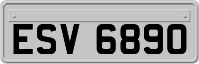 ESV6890