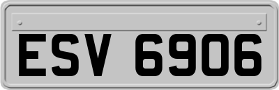 ESV6906