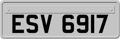ESV6917