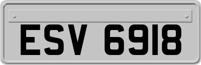 ESV6918
