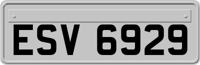 ESV6929