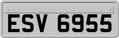 ESV6955