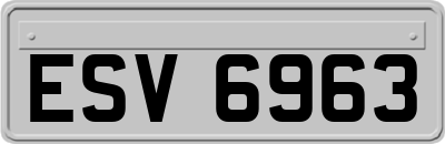 ESV6963