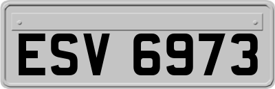 ESV6973