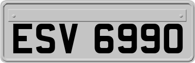 ESV6990