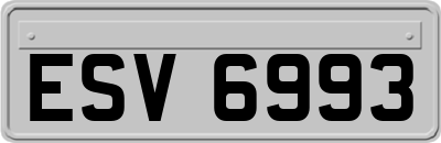 ESV6993