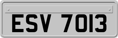 ESV7013