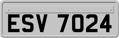 ESV7024